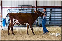 LCFAIR14-2951.jpg