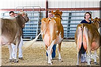 LCFAIR14-2952.jpg