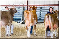 LCFAIR14-2953.jpg