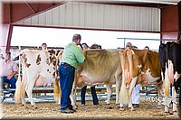 LCFAIR14-2958.jpg