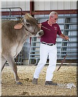 LCFAIR14-2961.jpg