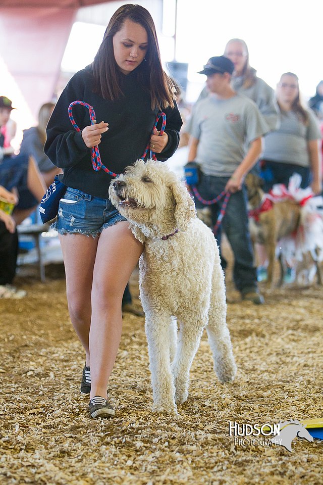 LCFAIR14-3542.jpg