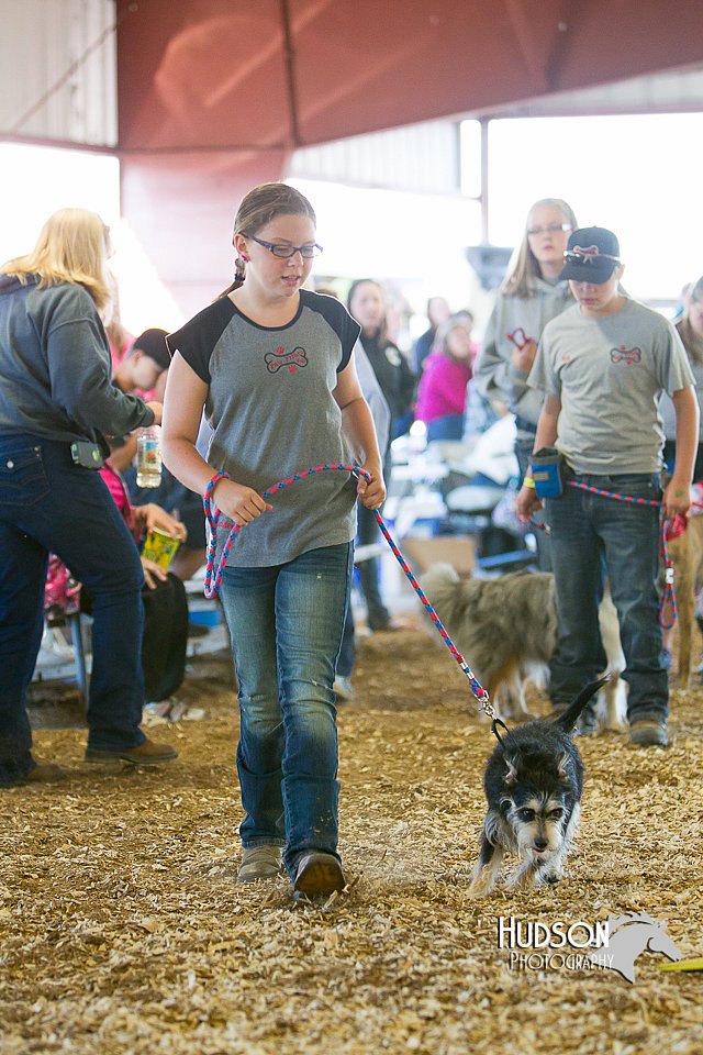 LCFAIR14-3544.jpg