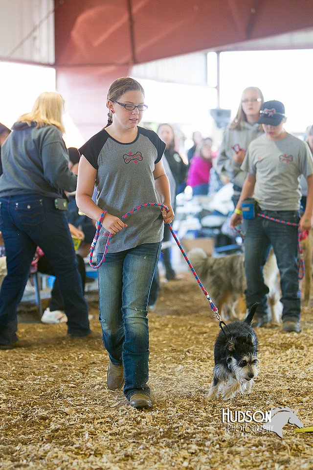 LCFAIR14-3545.jpg