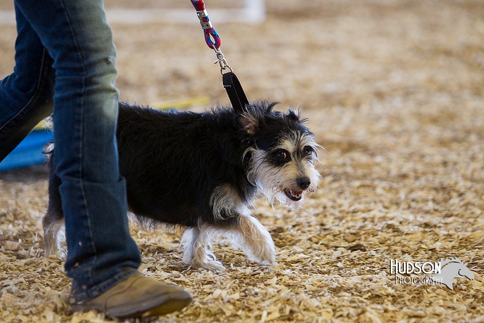 LCFAIR14-3547.jpg