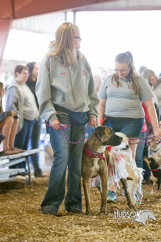 LCFAIR14-3551.jpg