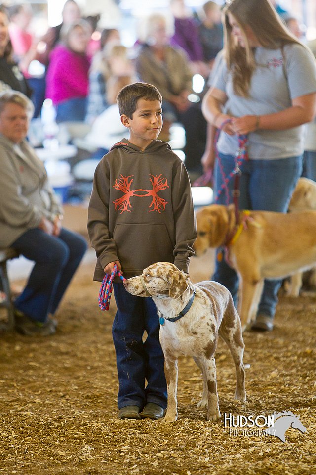 LCFAIR14-3559.jpg
