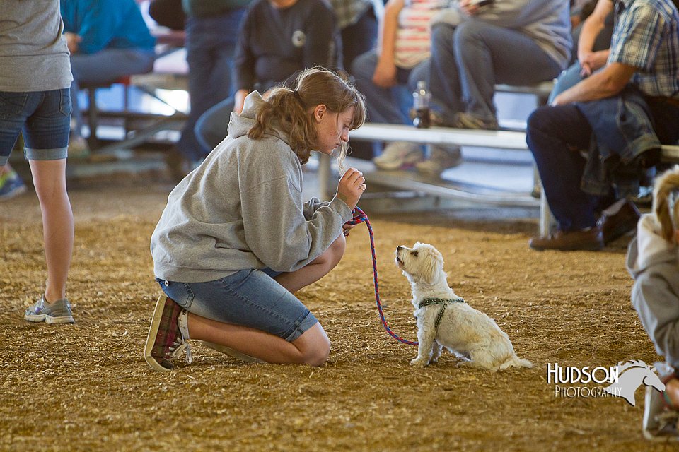 LCFAIR14-3569.jpg