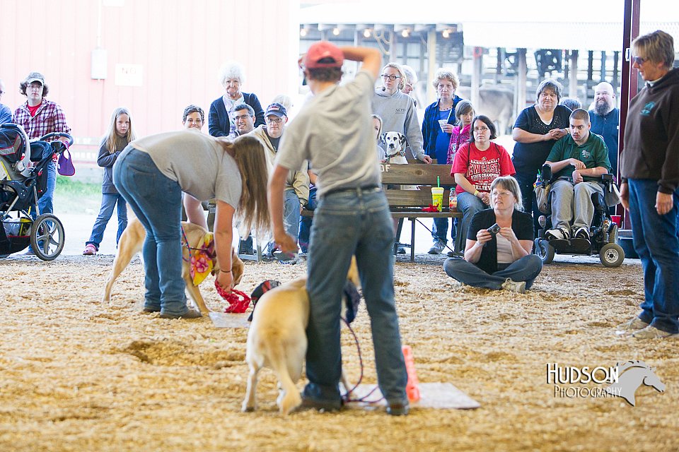 LCFAIR14-3581.jpg