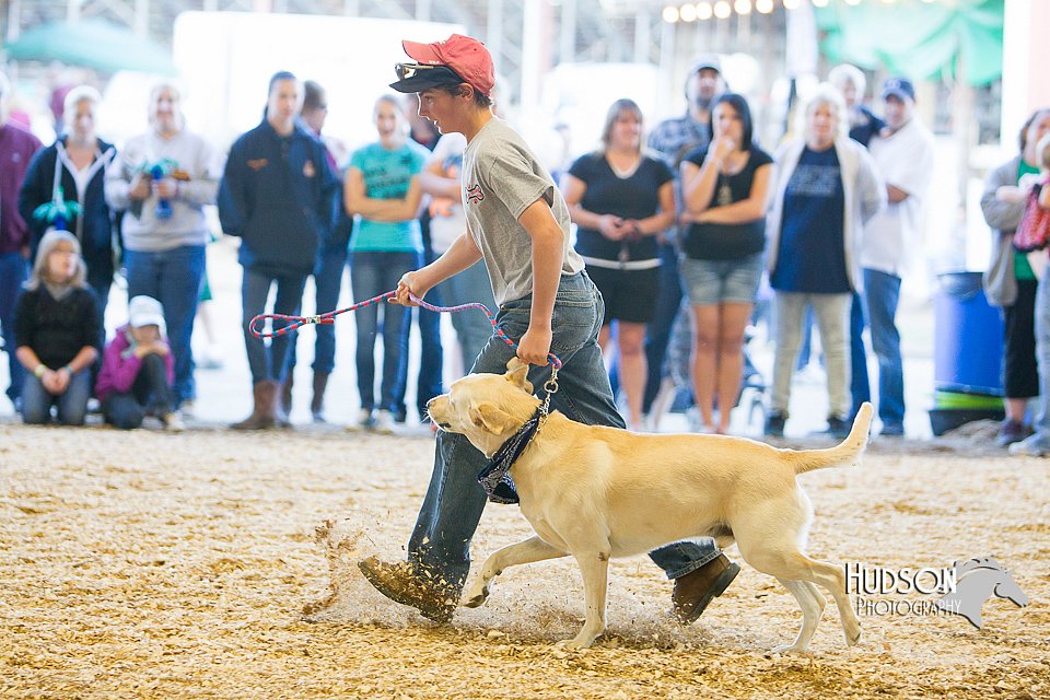 LCFAIR14-3583.jpg