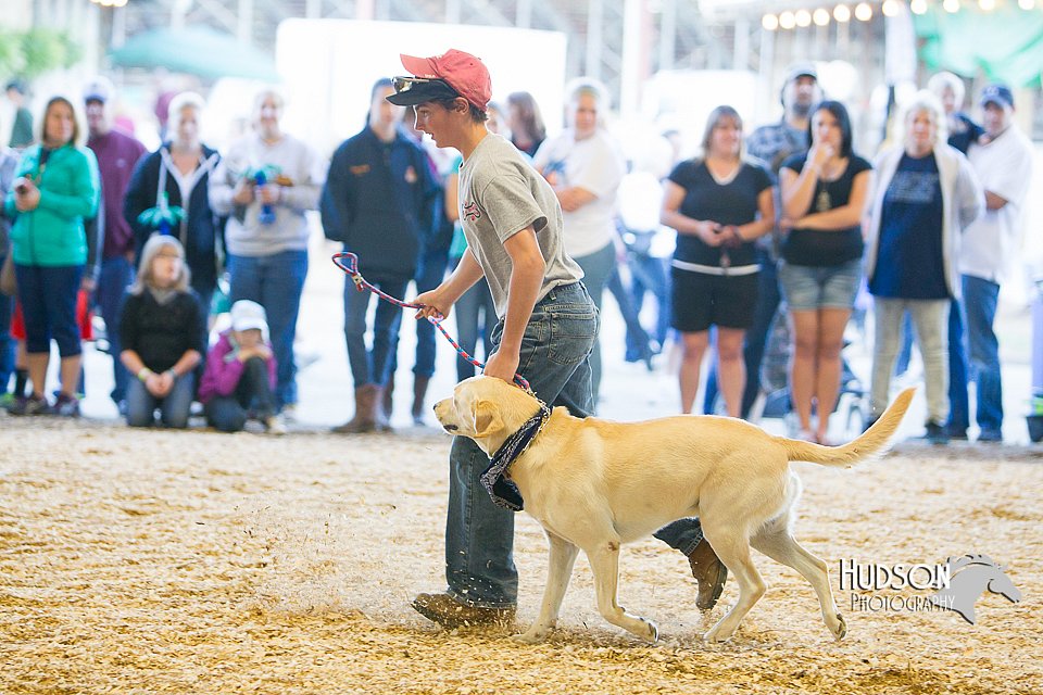 LCFAIR14-3584.jpg