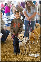 LCFAIR14-3560.jpg