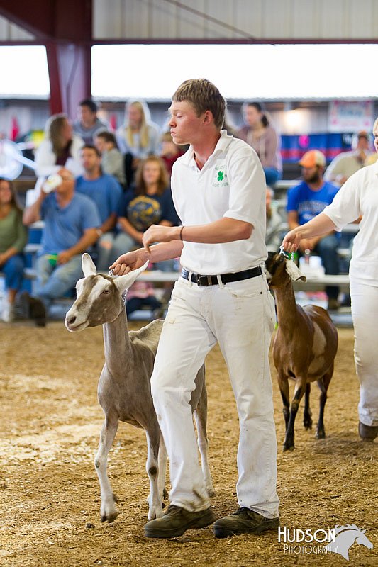 LCFAIR14-1088.jpg