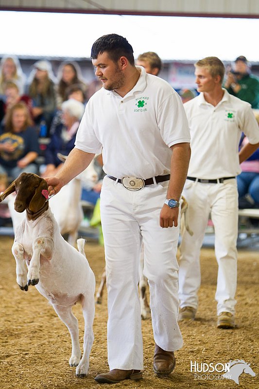 LCFAIR14-1098.jpg