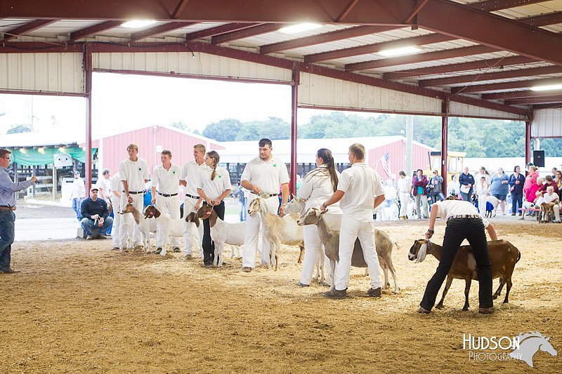 LCFAIR14-1117.jpg