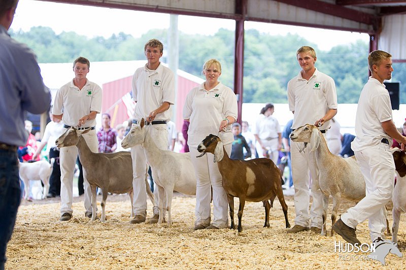 LCFAIR14-1136.jpg
