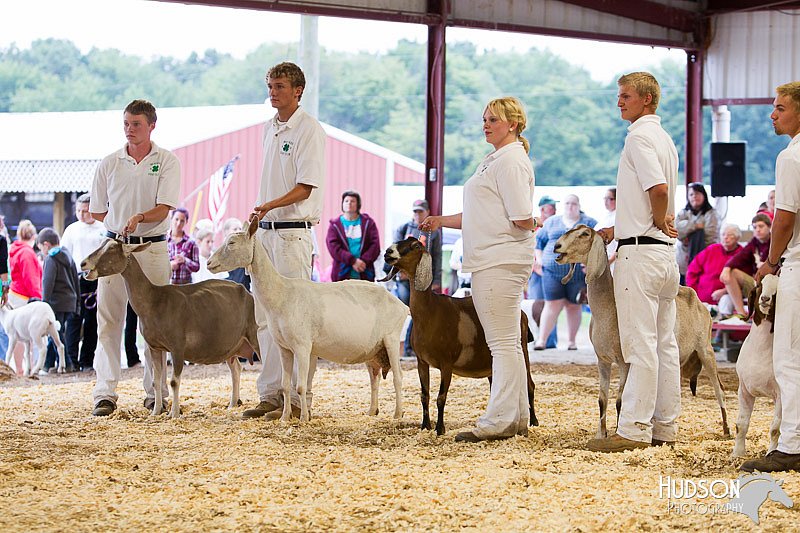 LCFAIR14-1142.jpg