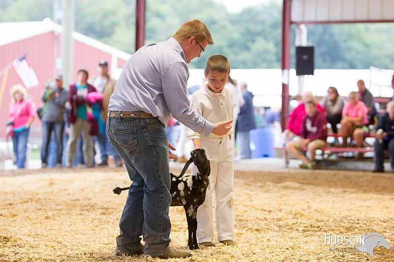 LCFAIR14-1192.jpg