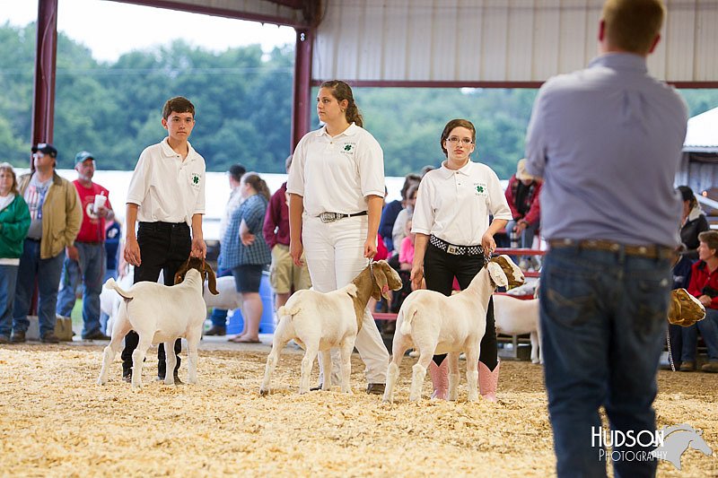 LCFAIR14-1243.jpg