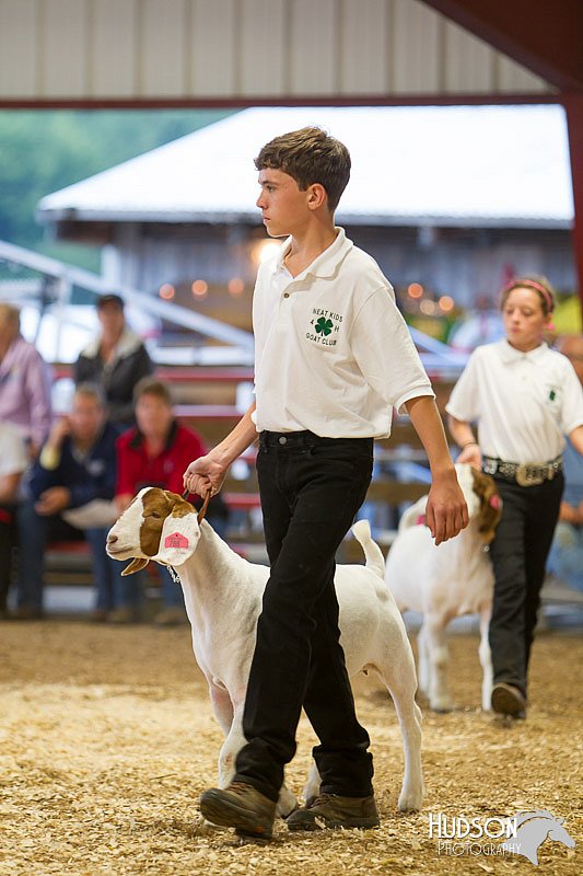 LCFAIR14-1250.jpg