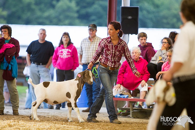 LCFAIR14-1253.jpg