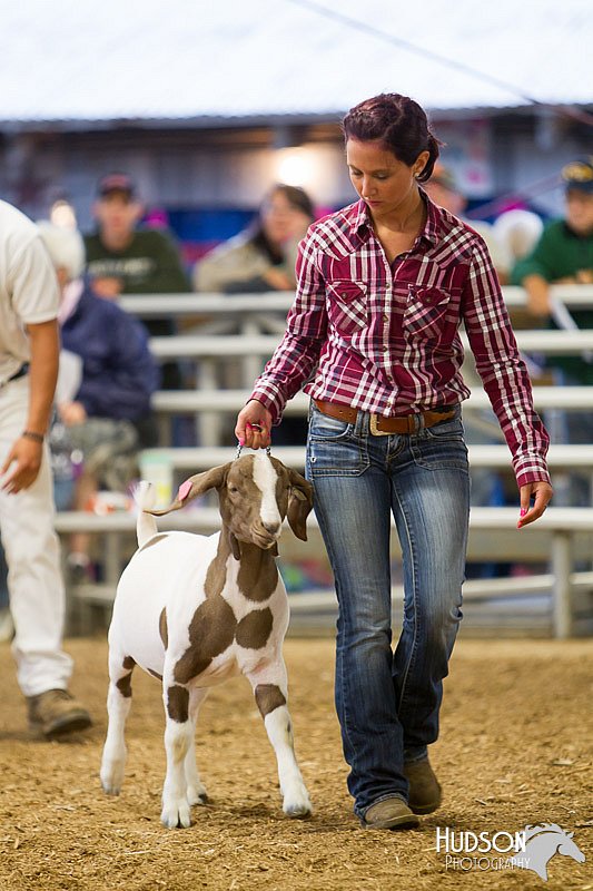 LCFAIR14-1254.jpg
