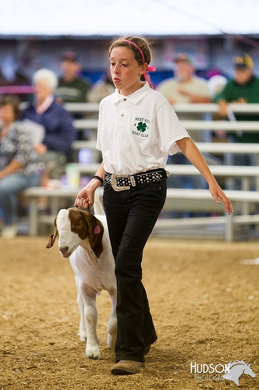 LCFAIR14-1257.jpg