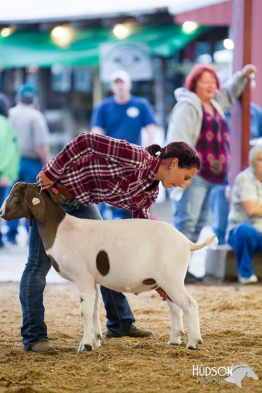 LCFAIR14-1258.jpg