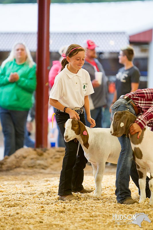 LCFAIR14-1259.jpg