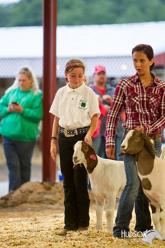 LCFAIR14-1260.jpg