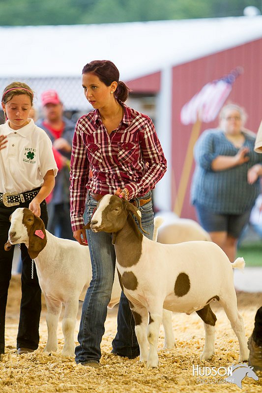 LCFAIR14-1261.jpg