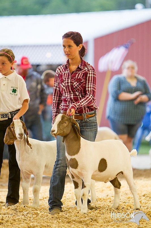 LCFAIR14-1262.jpg