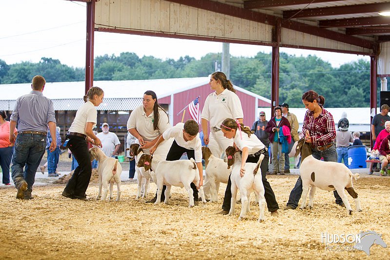 LCFAIR14-1307 - Copy.jpg