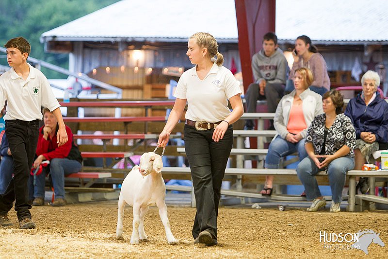LCFAIR14-1308.jpg