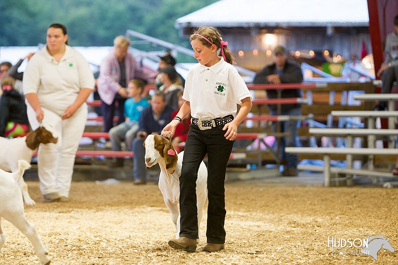 LCFAIR14-1310 - Copy.jpg