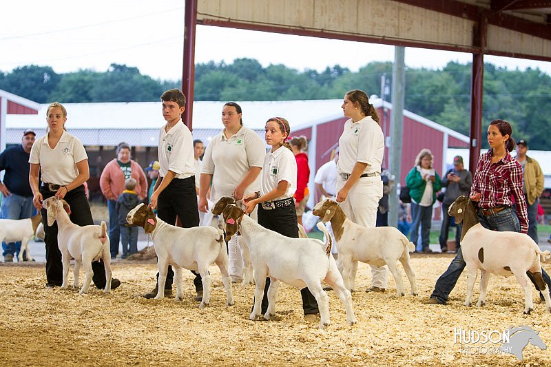 LCFAIR14-1313 - Copy.jpg