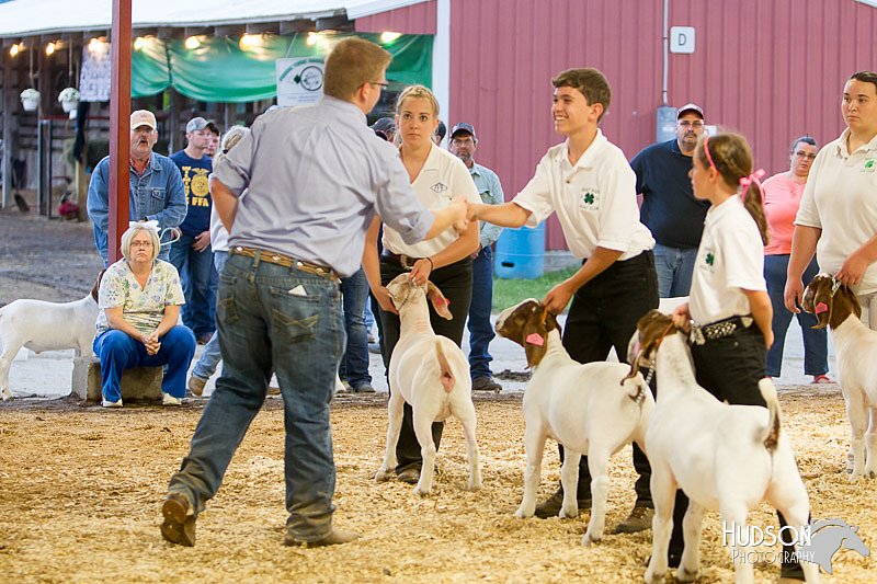 LCFAIR14-1315 - Copy.jpg