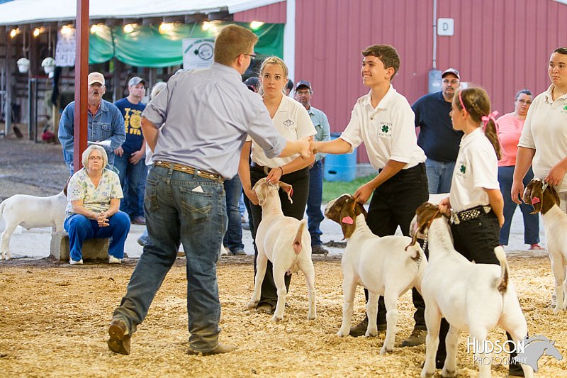 LCFAIR14-1316 - Copy.jpg