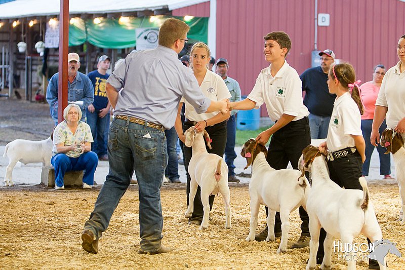 LCFAIR14-1317 - Copy.jpg