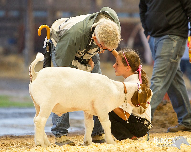 LCFAIR14-1335 - Copy.jpg