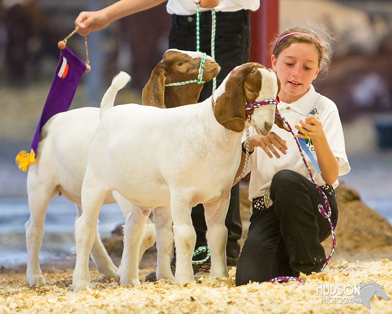 LCFAIR14-1339.jpg