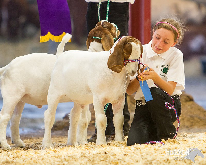LCFAIR14-1340 - Copy.jpg