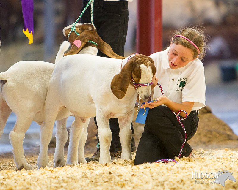 LCFAIR14-1343 - Copy.jpg