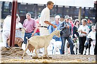 LCFAIR14-1082.jpg