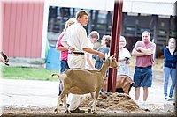 LCFAIR14-1083.jpg