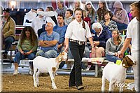 LCFAIR14-1111.jpg