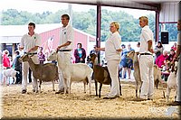 LCFAIR14-1141.jpg