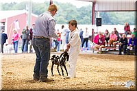 LCFAIR14-1196.jpg