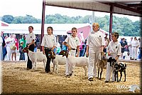 LCFAIR14-1209.jpg