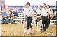 LCFAIR14-1234.jpg
